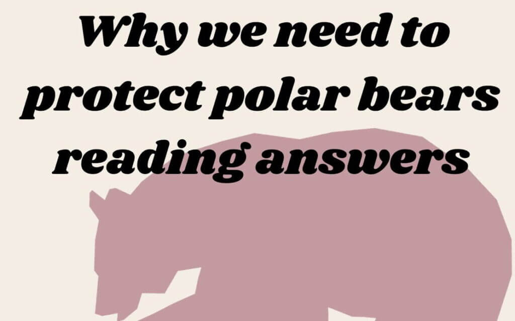 Why we need to protect polar bears reading answers